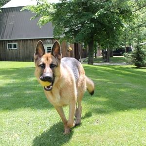 Meet your Posher, Alison